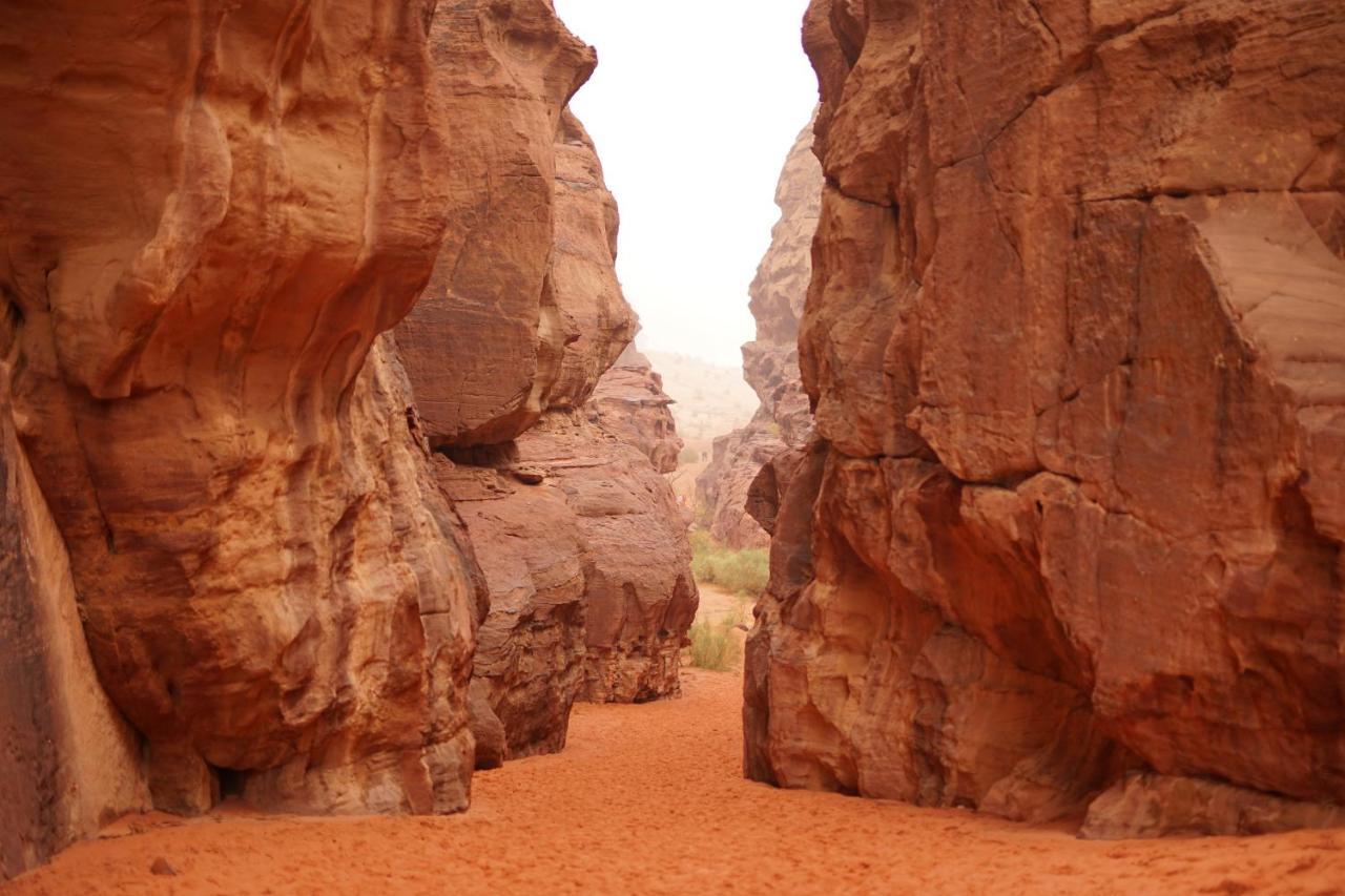 ホテル Quite Bedouin Life ワディ ・ラム エクステリア 写真
