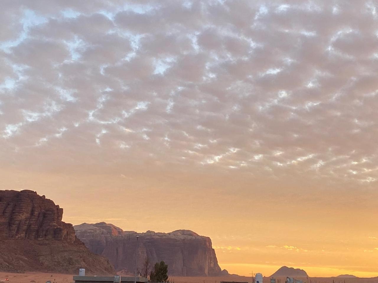 ホテル Quite Bedouin Life ワディ ・ラム 部屋 写真