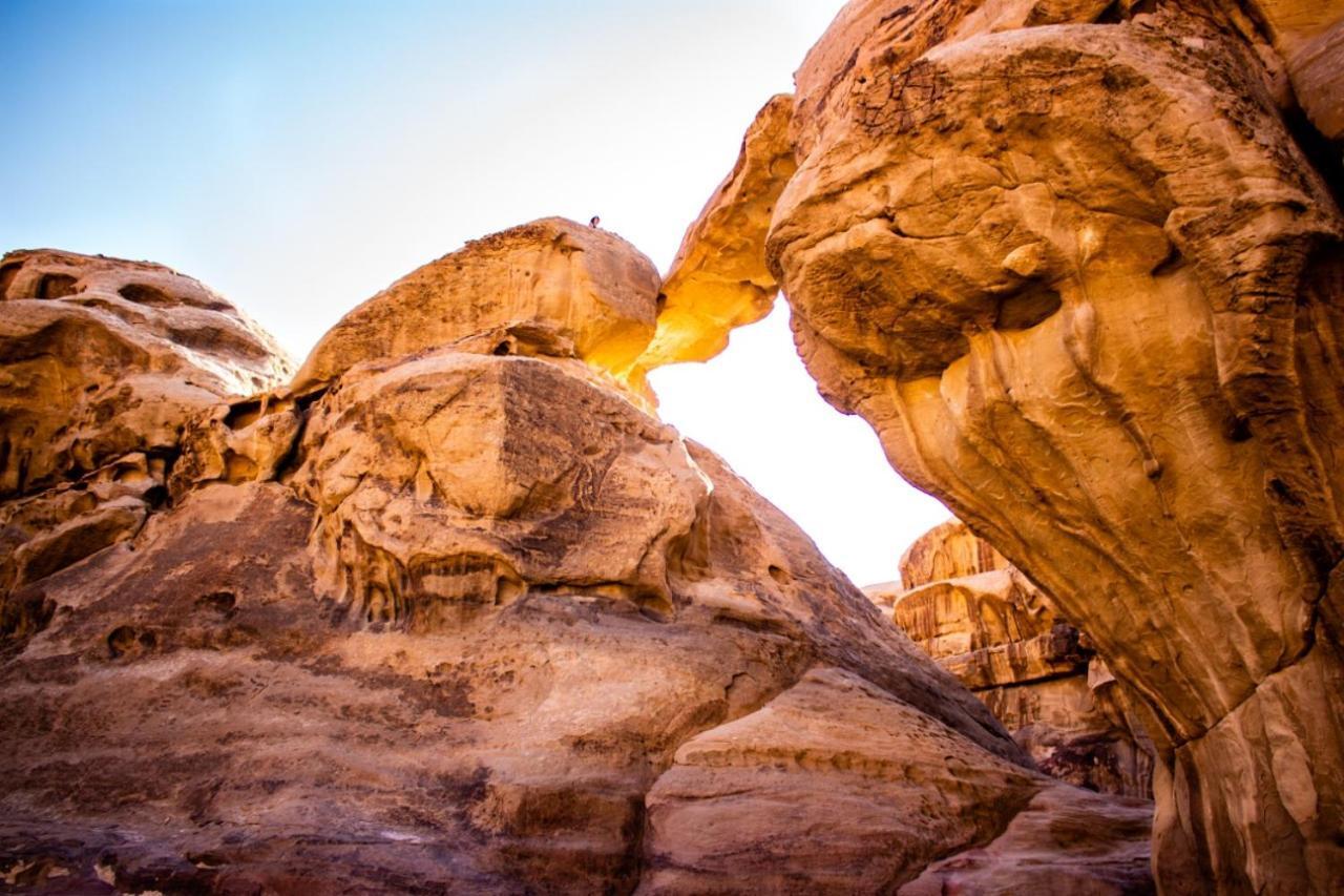 ホテル Quite Bedouin Life ワディ ・ラム エクステリア 写真
